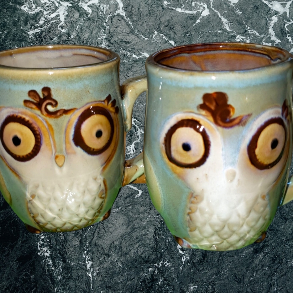 Owl City by Gibson Designs Glazed Ceramic Embossed 12 Ounces Mugs EUC Set of 2
